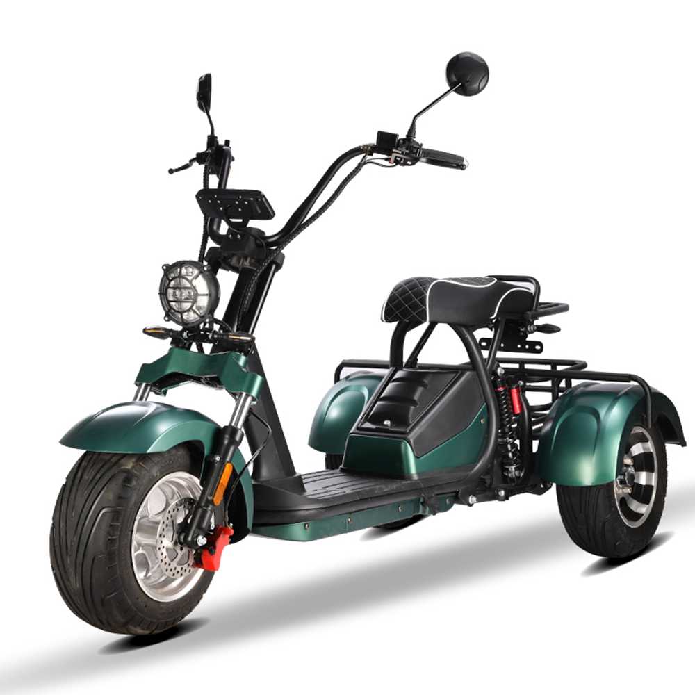 Citycoco Trike shansu hm3 2000w 20ah 40ah wholesale