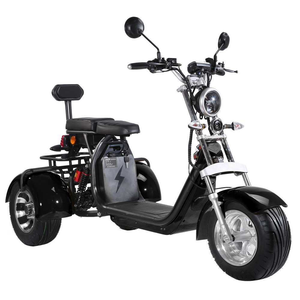 Shansu CP-3 60V 40Ah 2000W Electric Trike Scooter