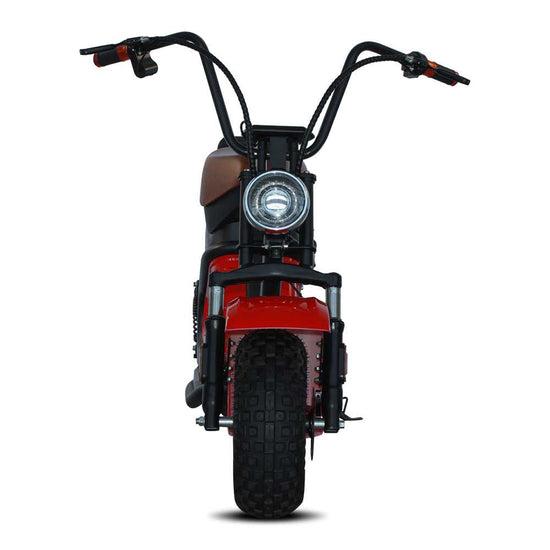 shansu citycoco m2 mini echopper scooter 48v 800w 12ah 20ah for sale