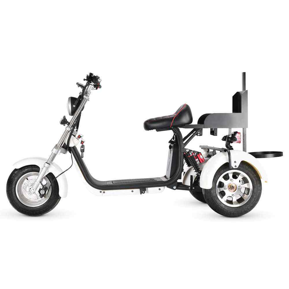 fat tire electric scooter golf