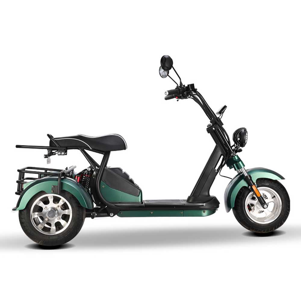 Citycoco Trike shansu hm3 2000w 20ah 40ah wholesale