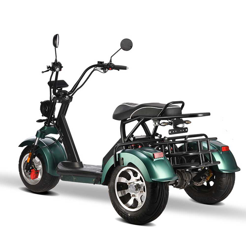Citycoco Trike shansu hm3 2000w 20ah 40ah wholesale
