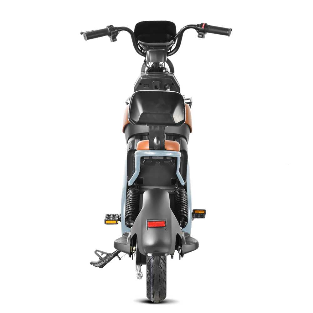 citycoco 1000w electric scooter shansu jy-01 60v 20ah factory – SHANSU