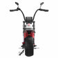 citycoco electric scooter Shansu hm8 2000w 3000w 30ah 40ah wholesale price